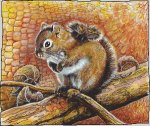 (image for) Squirrel